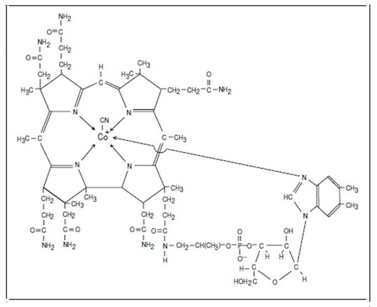 Figure 22b.1