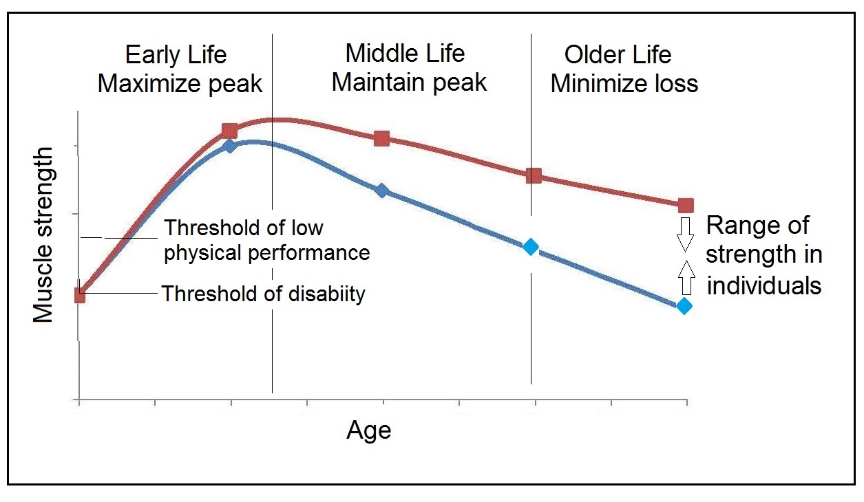 Figure 11.19