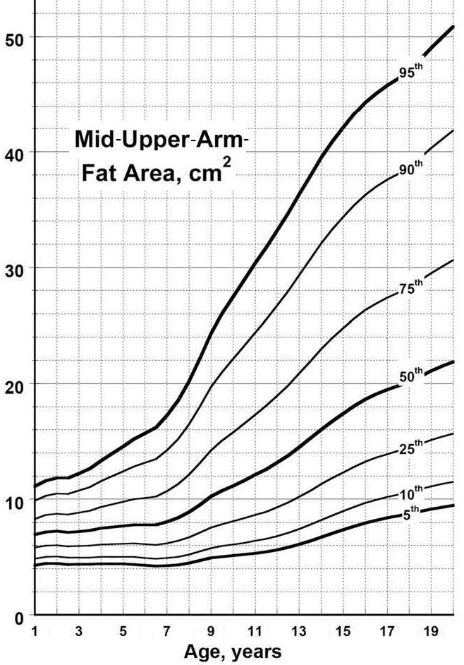 Figure 11.6