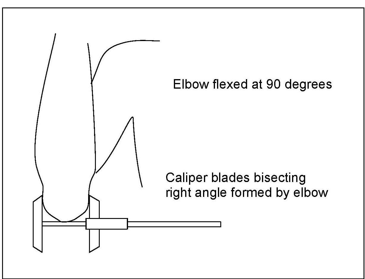 Figure 10.11