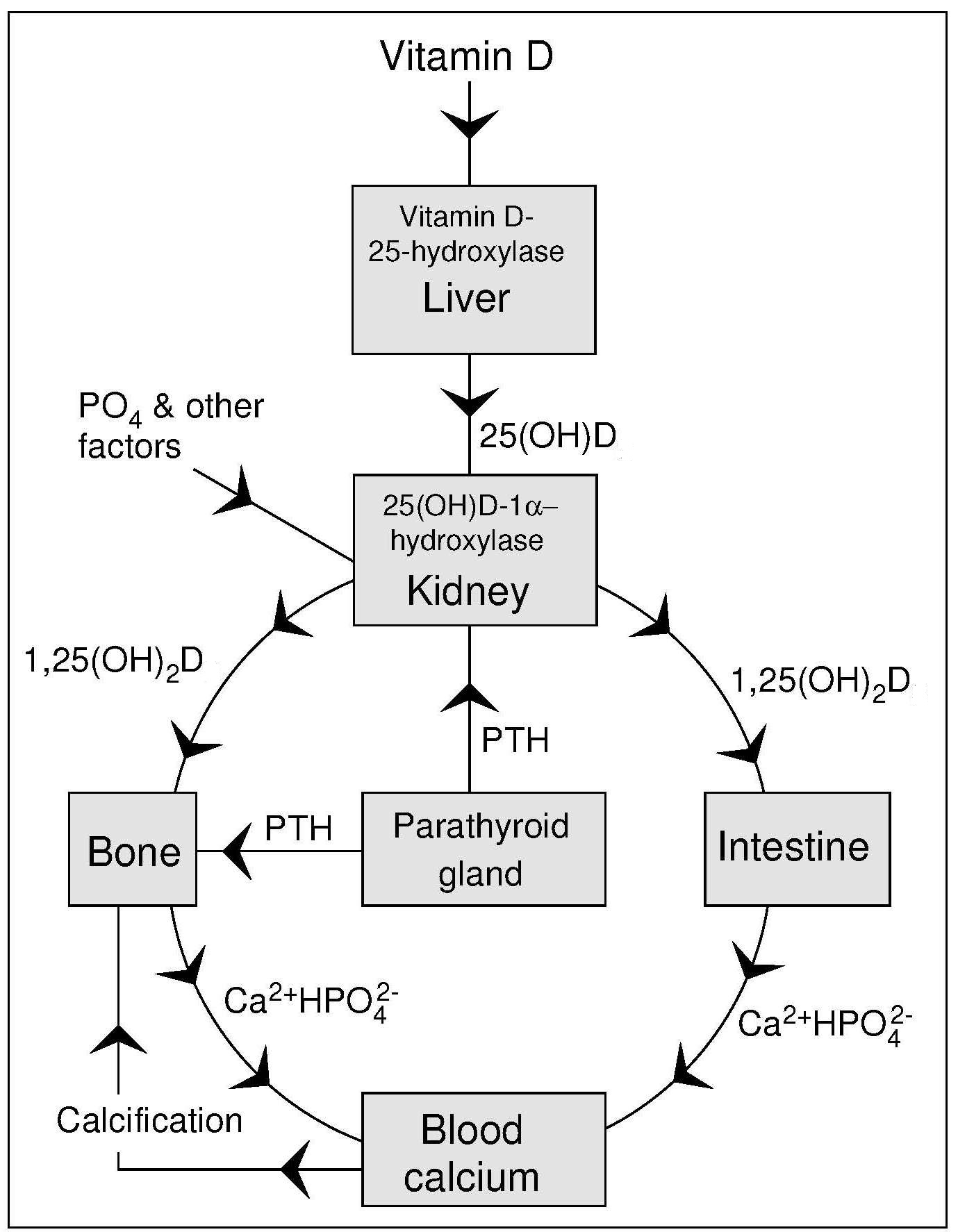 Figure 23a.1