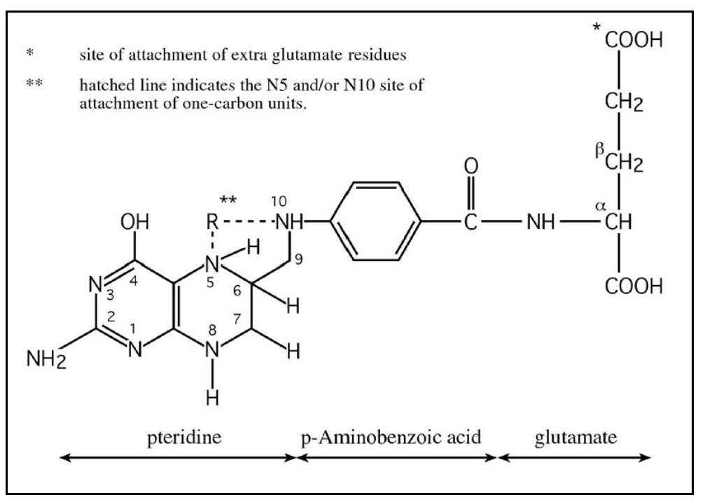 Figure22a.1