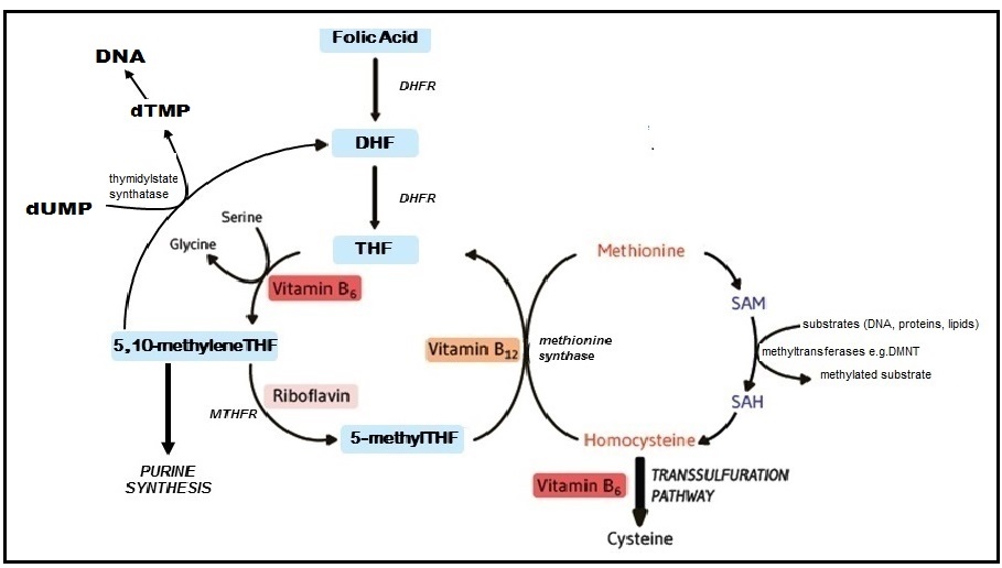 Figure22a.2