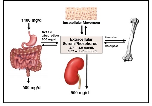 Figure 23b.2