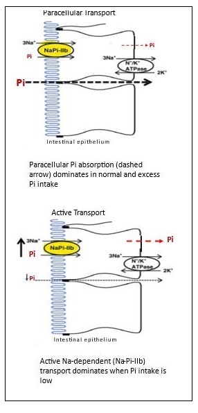 Figure 23b.3