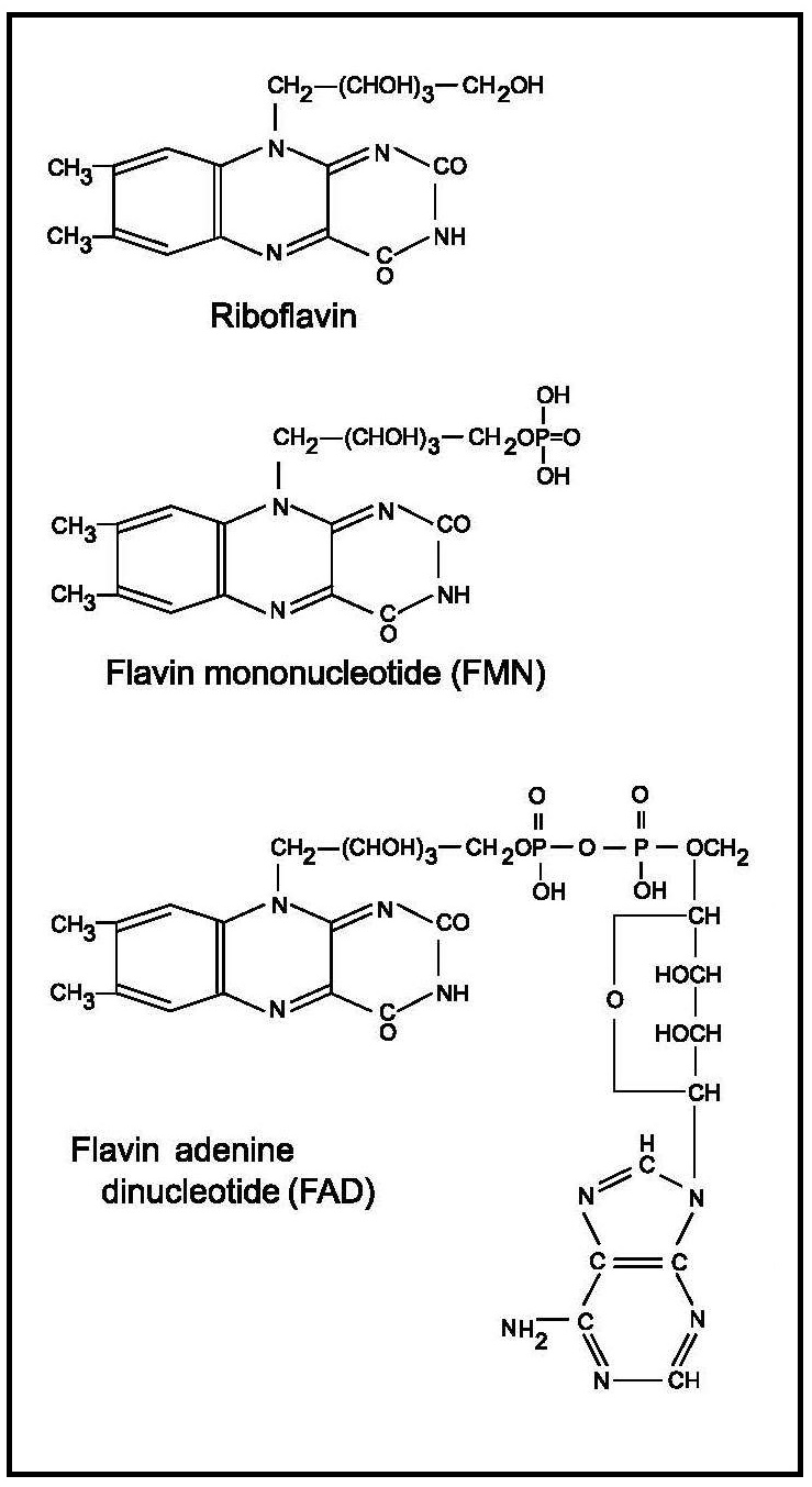 Figure20b.1