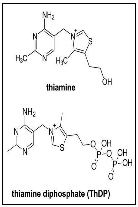 Figure20a.1